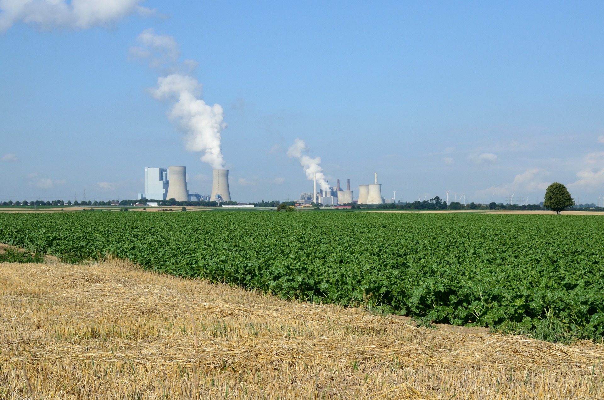 landscape-g5962feaf0_1920