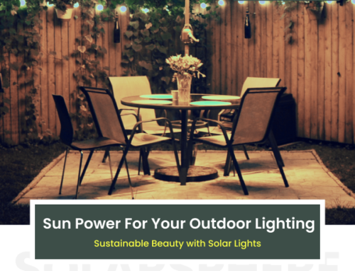 Illuminate Your Outdoors Affordably with the Power of the Sun